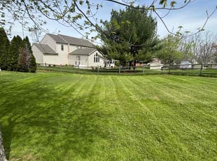Shaeen S.'s Lawn Service service result