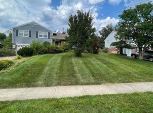 Austin B.'s Lawn Care service result