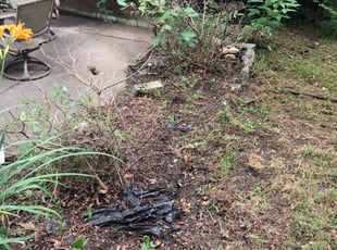 Leaf Removal by Lavell Tucker for Linda H. in Chester, VA