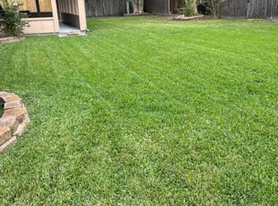 Mike B.'s Lawn Service service result