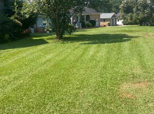 Leo P.'s Grass Cutting service result