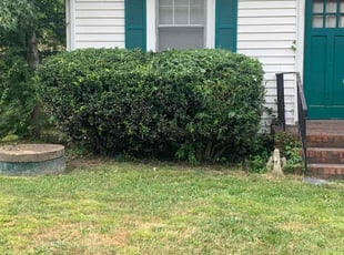 Bush Trimming by Jamel Evans for Tekeisha S. in Richmond, VA
