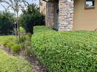 Bush Trimming by Joseph Grasso for Bradley D. in Orlando, FL