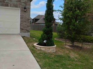 Bush Trimming by Annette Amador for Tamara N. in Leander, TX