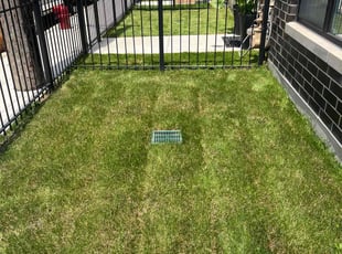 Constance M.'s Lawn Mowing service result