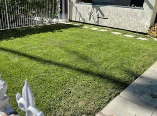 Bush Trimming by Alexander Stevenson for Shiloe S. in Los Angeles, CA