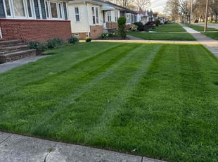 Leaf Removal by Martez Hope for Kelly W. in Parma Heights, OH