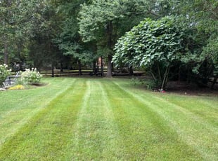 Carol B.'s Yard Cutting service result