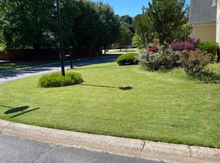 Pat P.'s Lawn Care service result