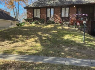 Leaf Removal by Damian Gray for Travis C. in Kansas City, MO