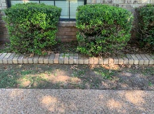 Bush Trimming by raymond miller III for Pamela M. in Oklahoma City, OK