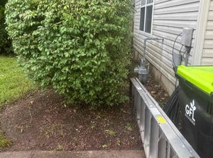 Bush Trimming by Bryan Tyler for Geoff G. in Toano, VA