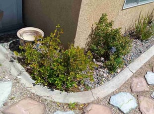Bush Trimming by Robert Fitch for Michael B. in Victorville, CA