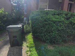 Bush Trimming by Lawrence Tischler for Rayneal O. in Cincinnati, OH