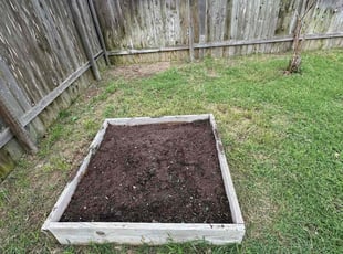 Cleanups by Marco's Alcaraz for Michele P. in Austin, TX