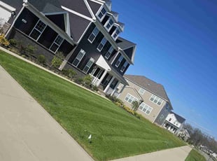 Dan Z.'s Yard Cutting service result