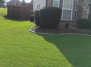 Annette A.'s Bush Trimming service result