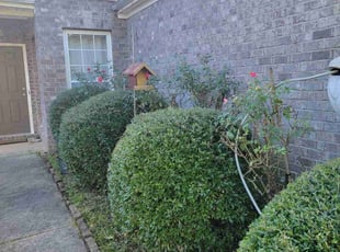 Bush Trimming by Douglas McClelland for Klaudia and James T. in Pelham, AL