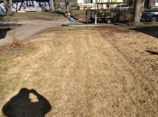 Leaf Removal by Julio Almestica for Angelique P. in Kansas City, MO
