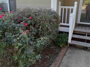 Bush Trimming by Justin Cruce for Alexis T. in Pinson, AL