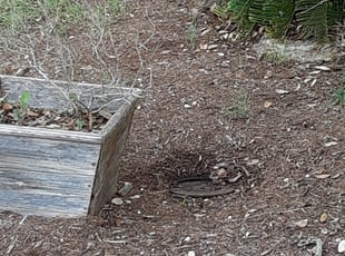 Cleanups by Mauro Leal Jr for Mindy C. in San Antonio, TX