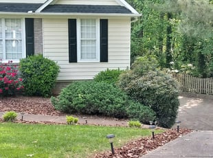 Bush Trimming by Avelino Alonso for Kari R. in Buford, GA