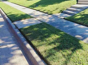 Allison M.'s Lawn Mowing Service service result