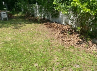 Cleanups by David Santiago for Christopher M. in Waterbury, CT