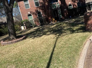 Leaf Removal by Paz Silva for Carmen T. in Houston, TX