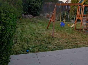 Bush Trimming by James Foster for LaTonia M. in Moreno Valley, CA