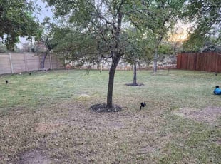 Leaf Removal by Rene Gabriel Ramirez for Abhijeet S. in Round Rock, TX
