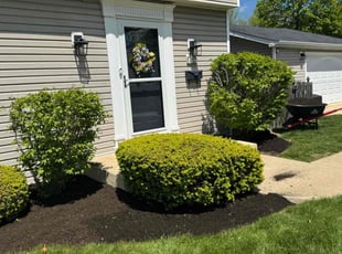 Mulching by Brooke Ardoin for Nicholas T. in Downers Grove, IL