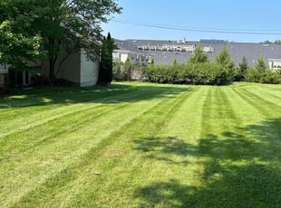Ellie C.'s Lawn Mowing Service service result