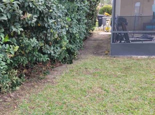 Bush Trimming by Carlos Martinez for Steve Y. in Davenport, FL
