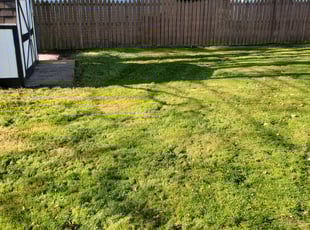 Leaf Removal by Richard Vonderau for Sandra L. in Parma Heights, OH