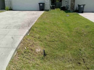 Kelly G.'s Grass Cutting service result