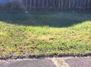 Leaf Removal by Tarah0 Reuther for Irene N. in Westerville, OH