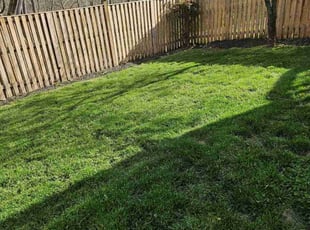 Jaime B.'s Lawn Service service result