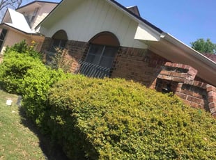 Bush Trimming by Juan Uribe for Stephen A. in Duncanville, TX