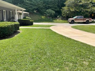 Memory W.'s Lawn Service service result
