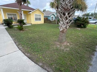 Albert H.'s Lawn Mowing Service service result