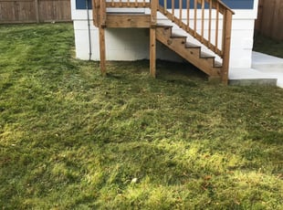 Cleanups by Kamonta Hackey for Aisha M. in Washington, DC