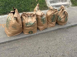 Amelia P.'s Leaf Removal service result