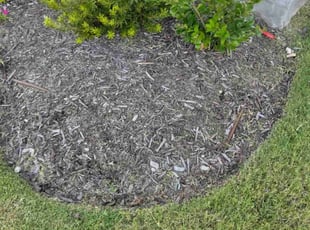Tareq W.'s Flower Bed Weeding service result