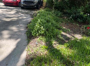 Bush Trimming by Hanif Ibn King for Raj K. in Lakeland, FL