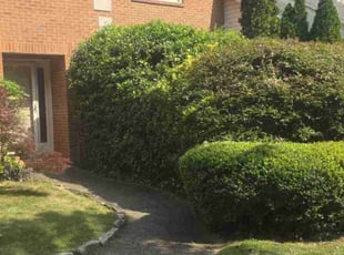Bush Trimming by Douglas McClelland for Rayburn T. in Birmingham, AL