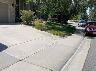 Bush Trimming by Aaron Fresquez for Victoria M. in Littleton, CO
