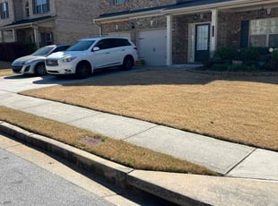 Violet T.'s Lawn Maintenance service result