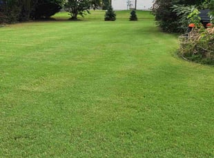 Cheri M.'s Lawn Care service result