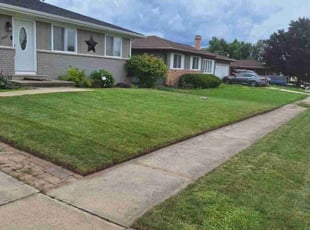 Avideh S.'s Lawn Mowing Service service result